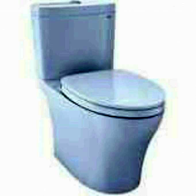 TOTO Aquia Dual Flush Langwerpig 2-delig Toilet Review